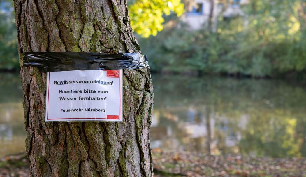 Langwassersee in Nürnberg verunreinigt