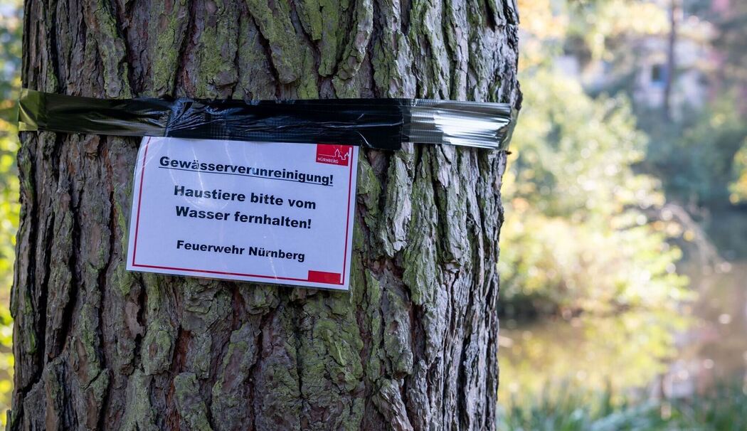 Langwassersee in Nürnberg verunreinigt
