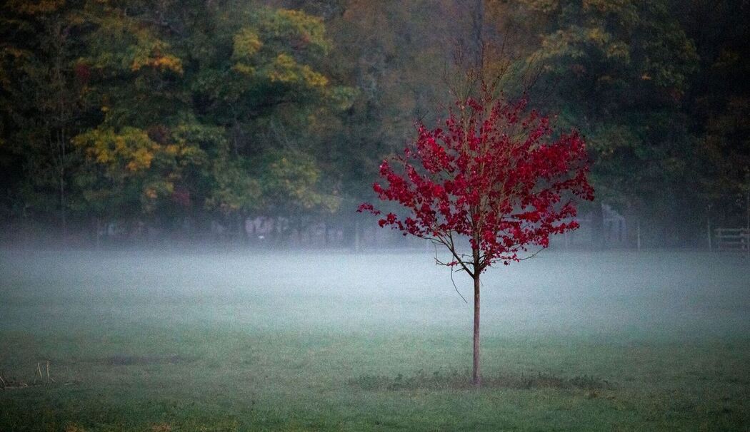 Herbstliches Wetter am Abend