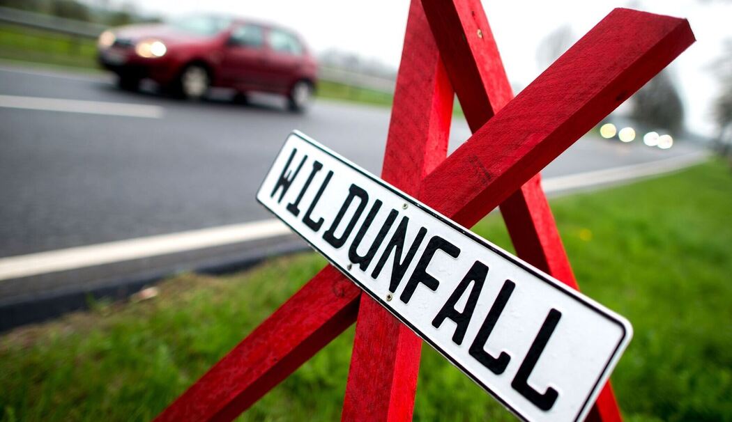 Wildunfall