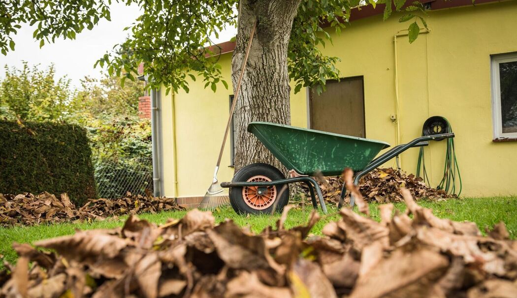 Garten im Herbst
