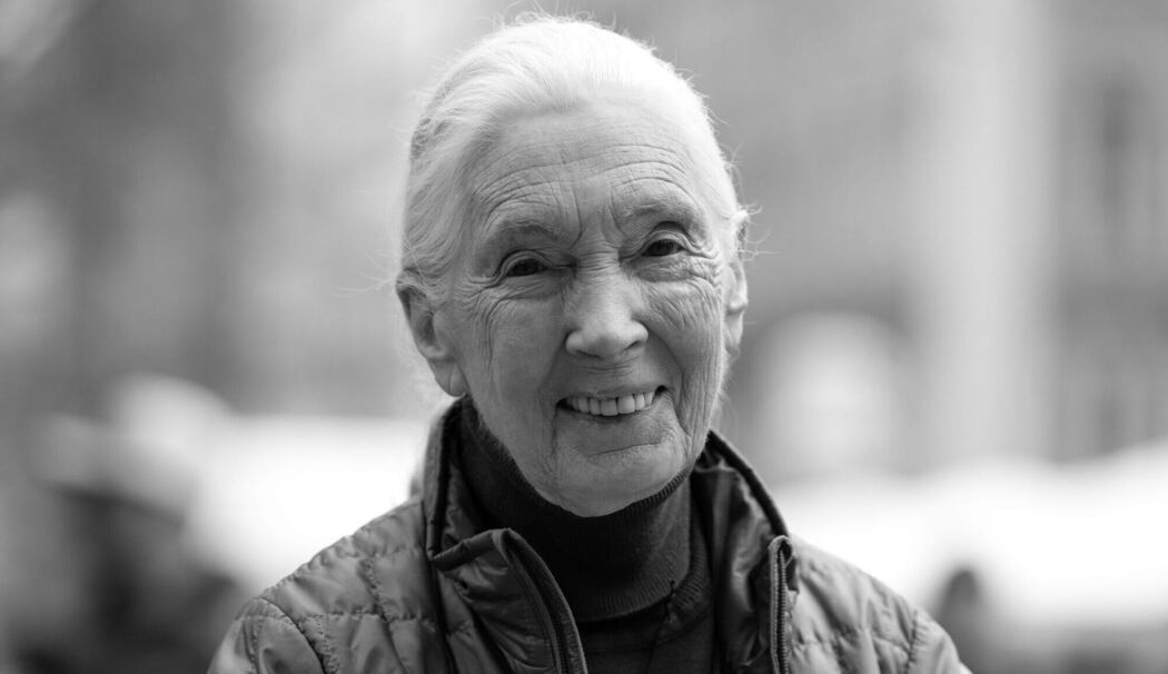 Jane Goodall