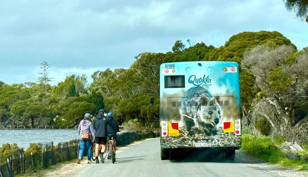 Quokkas auf Rottnest Island