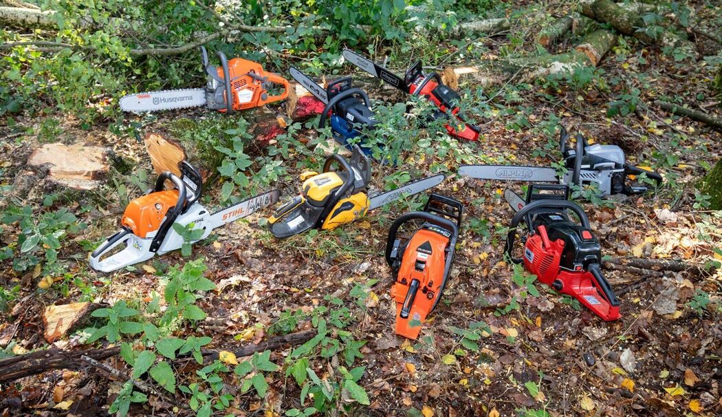 Alle acht getesteten Benzin-Motorsägen liegen auf dem Waldboden