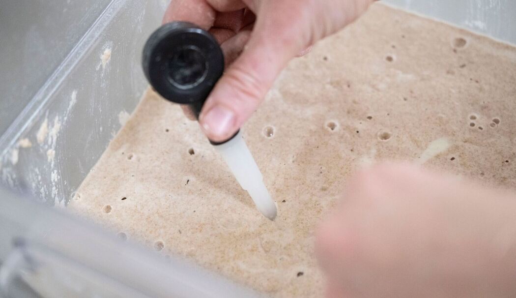 Sauerteigbrot-Bäckerei