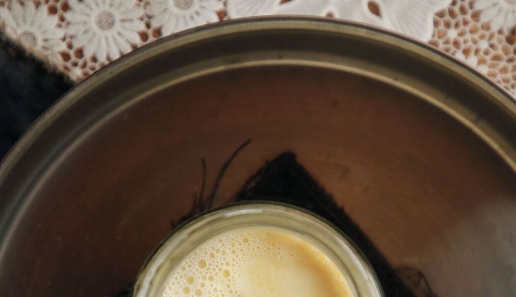 Forscher stellen Joghurt mit Hilfe von Ameisen her