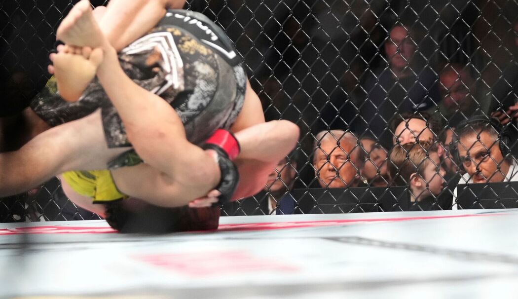 Trump und Musk mit Sohn beim Ultimate Fighting