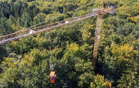 Forscher überwachen Entwicklung von Bäumen im Wald