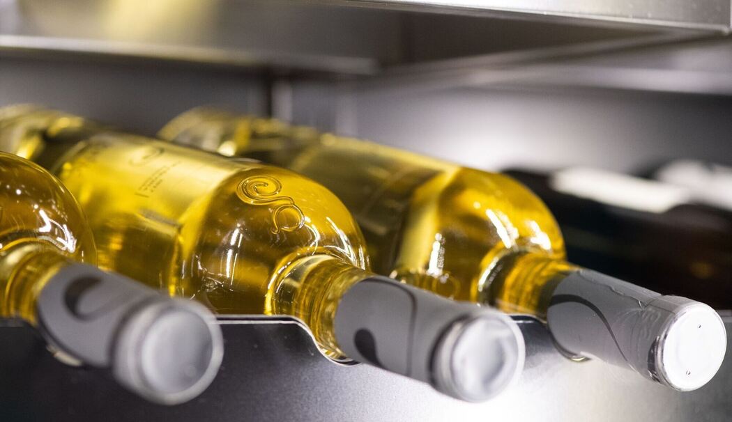 Weißweinflaschen liegen in einem Weinkühlschrank