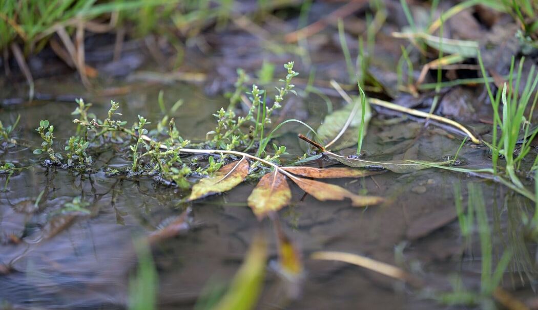 Wetterlage in Deutschland