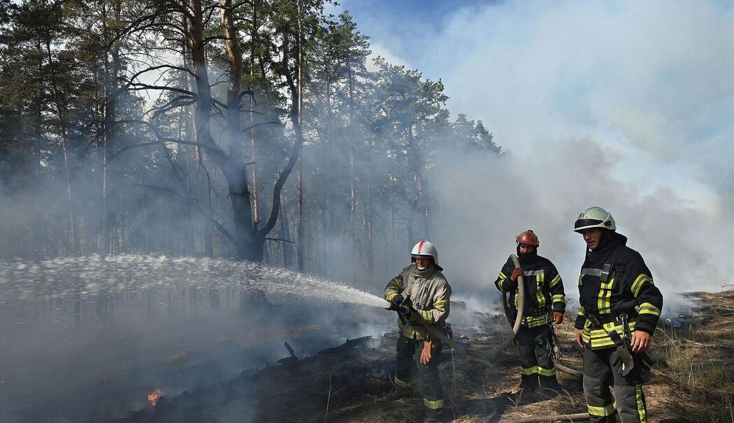 Waldbrände in der Ukraine