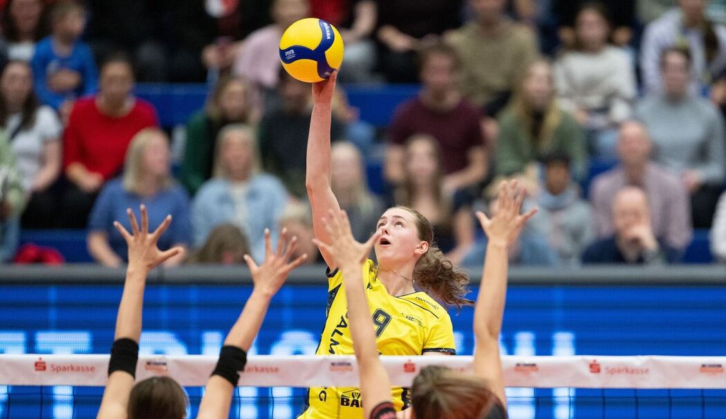 Dresdner SC - SSC Palmberg Schwerin