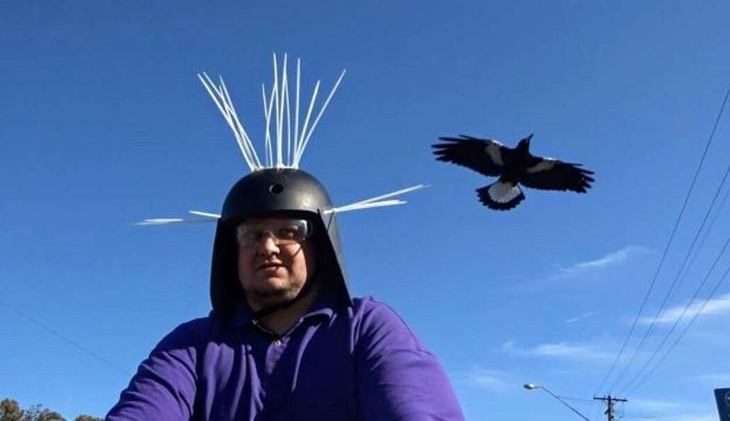 Anti-Magpie-Helm