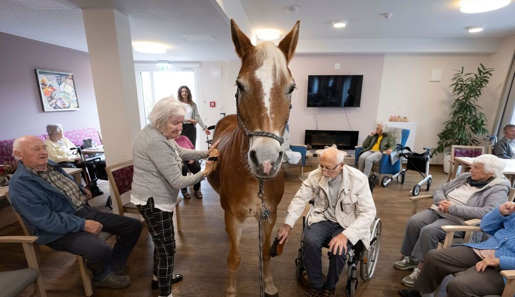 Mit dem Pferd ins Altenheim