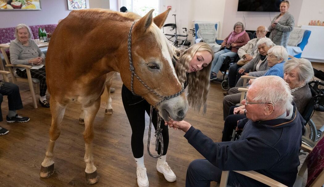Mit dem Pferd ins Altenheim