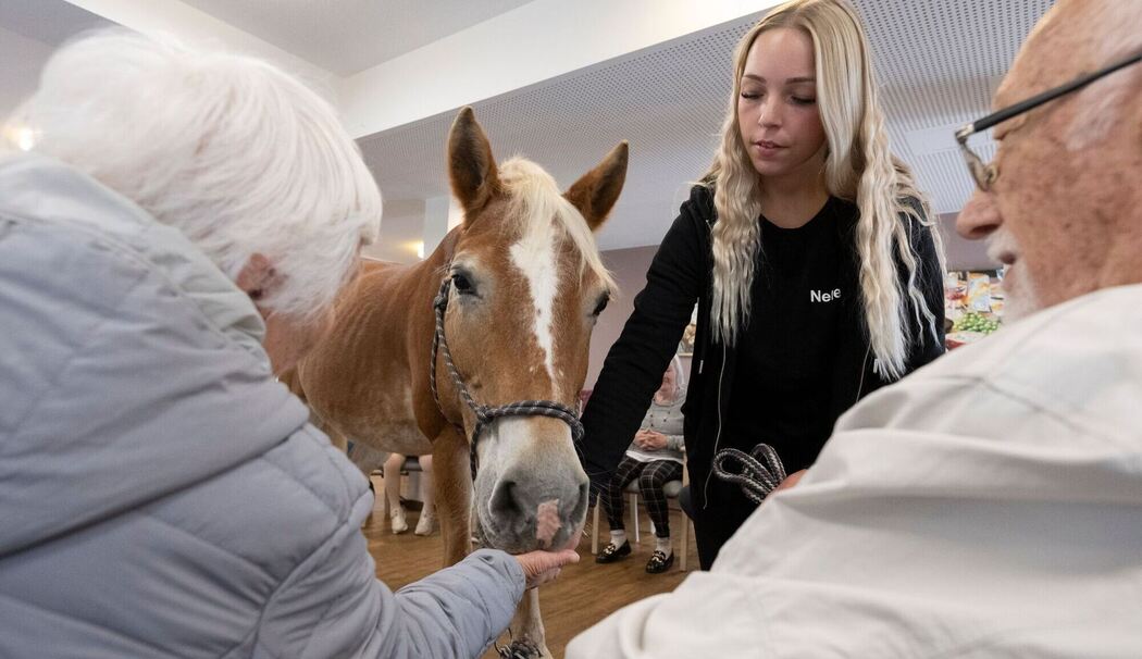 Mit dem Pferd ins Altenheim