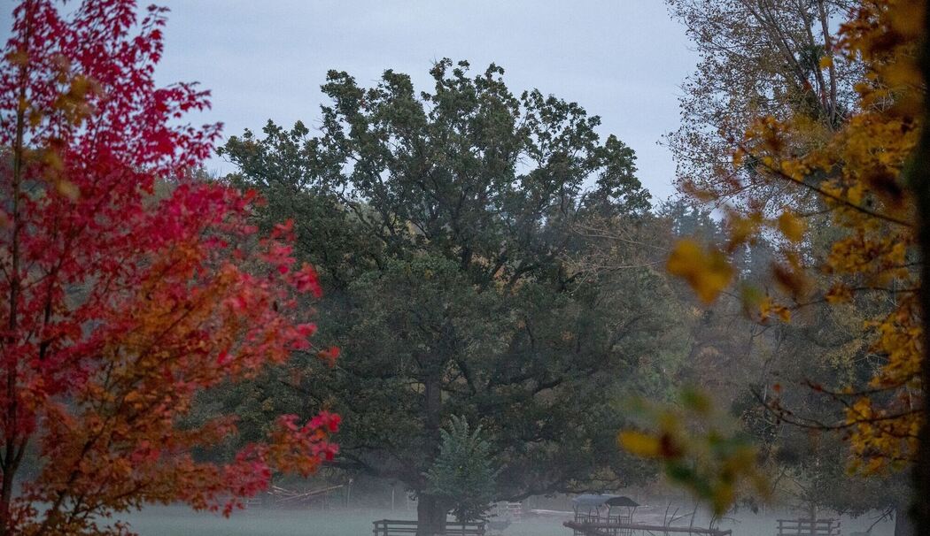 Herbstliches Wetter