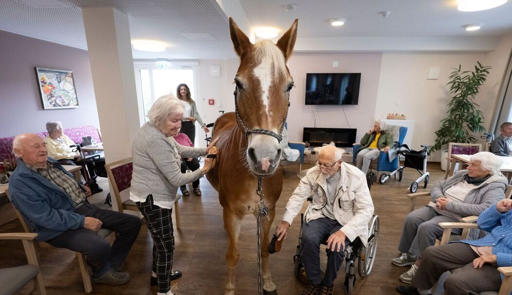 Mit dem Pferd ins Altenheim