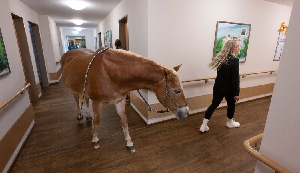 Mit dem Pferd ins Altenheim