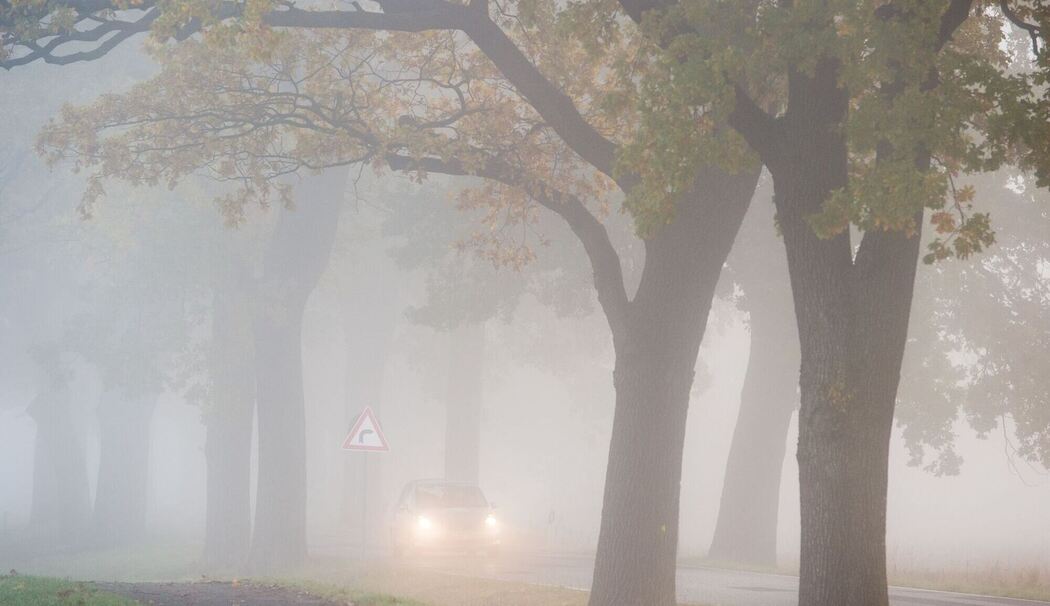 Auto fährt bei Nebel auf einer Landstraße