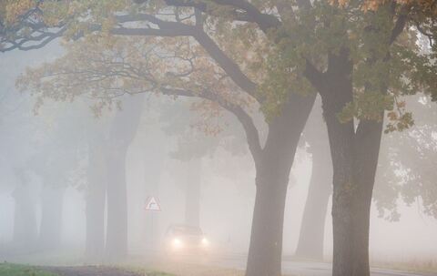 Auto fährt bei Nebel auf einer Landstraße