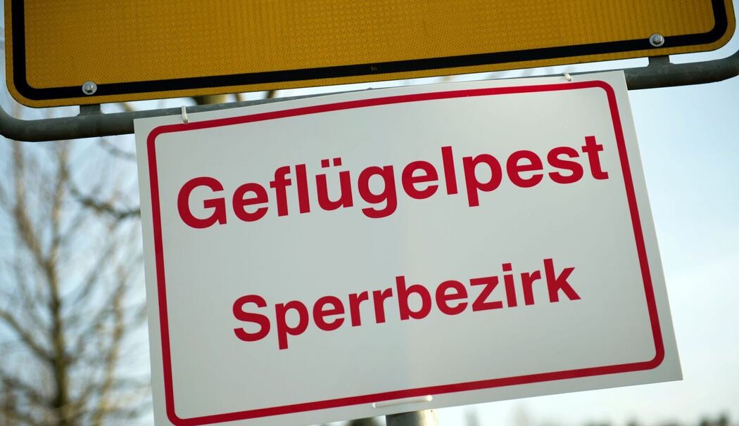 Geflügelpest