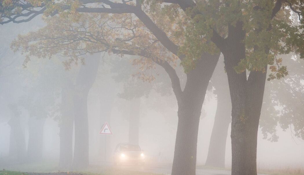 Auto fährt bei Nebel auf einer Landstraße