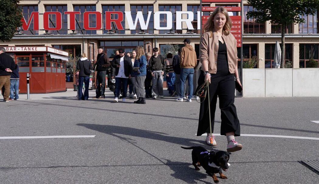 3. Münchner Dackelrennen 3. Münchner Dackelrennen