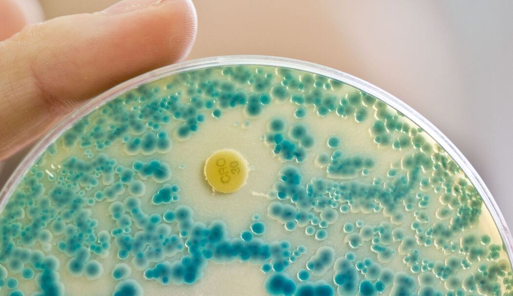Antibiotikaresistente Keime