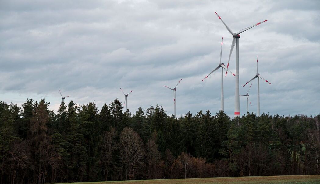 Windkraftanlagen im Lindenhardter Forst