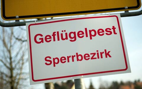Geflügelpest