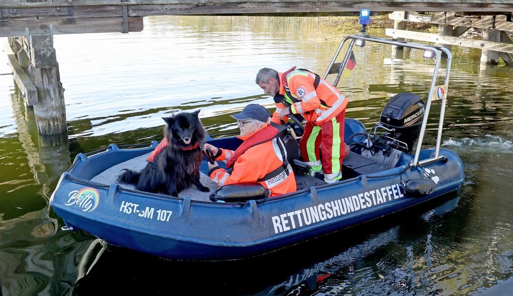 Suche nach vermisstem Achtjährigen mit Suchhund