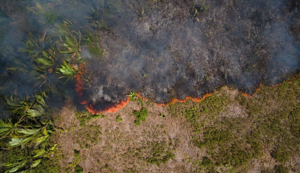 Feuer im Amazonas-Gebiet