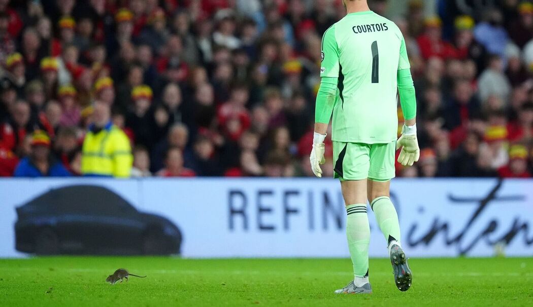 Wales - Belgien
