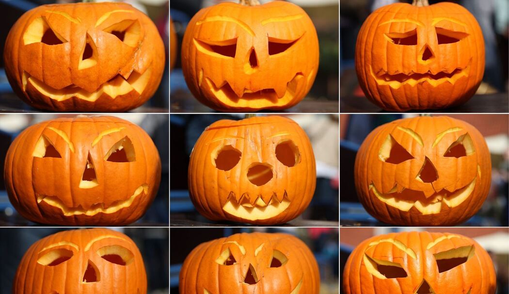 Populärer Pumpkin: Der kolossale Kürbis-Boom