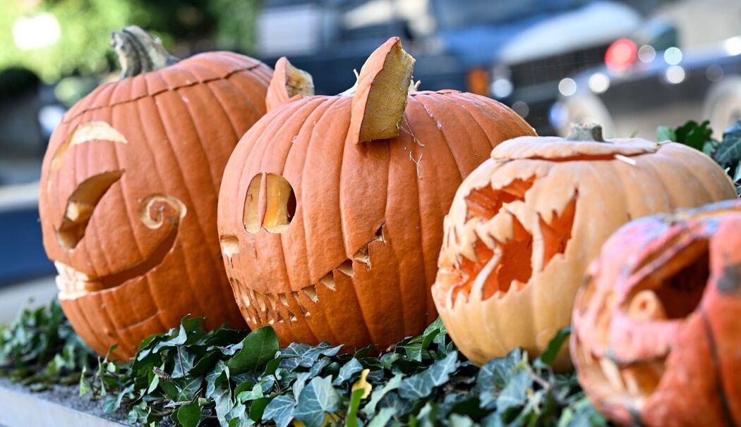 Halloween-Kürbisse