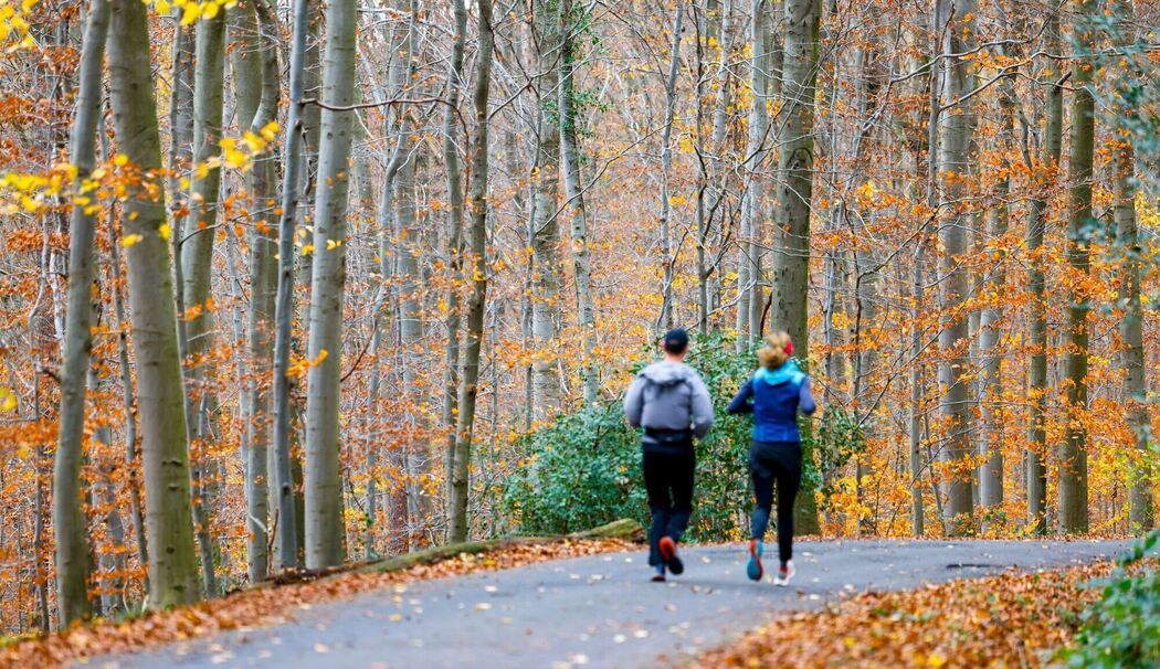 Wetter in Nordrhein-Westfalen