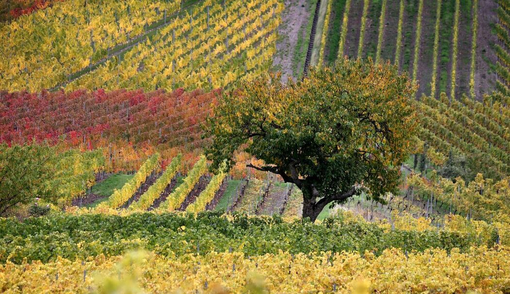 Herbst in Bayern