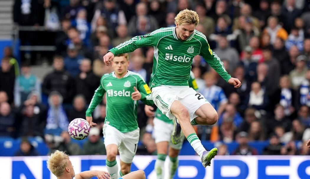 Brighton & Hove Albion - Newcastle United