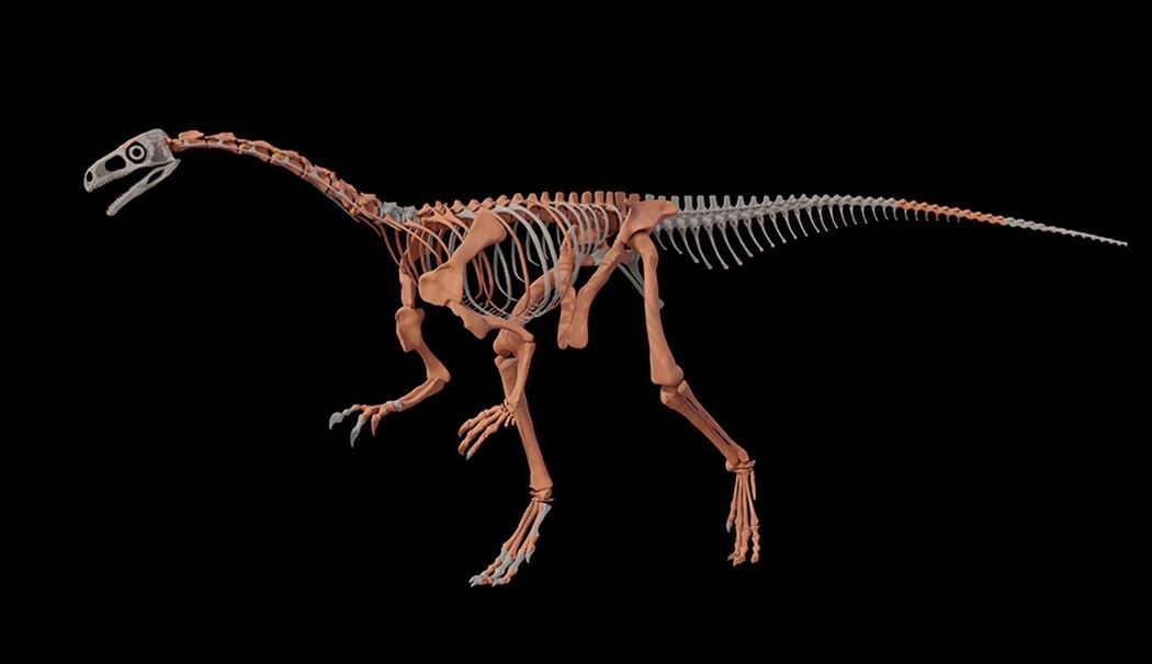 Einer der ältesten Dinosaurier in Argentinien gefunden