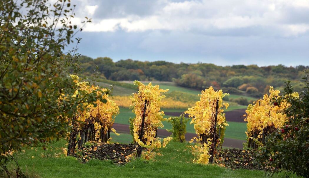 Herbst in Bayern