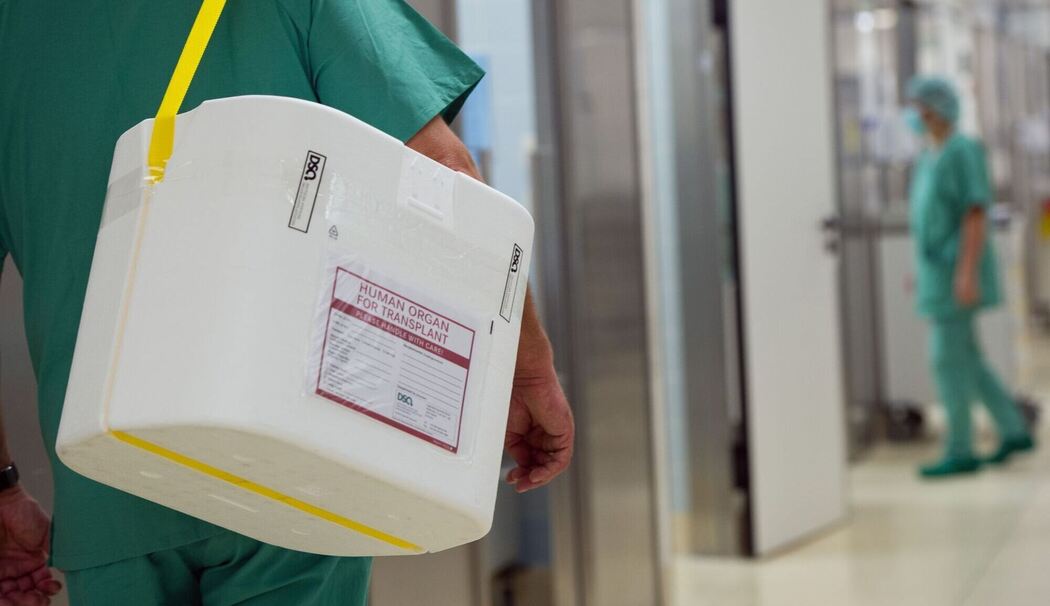 Organspende