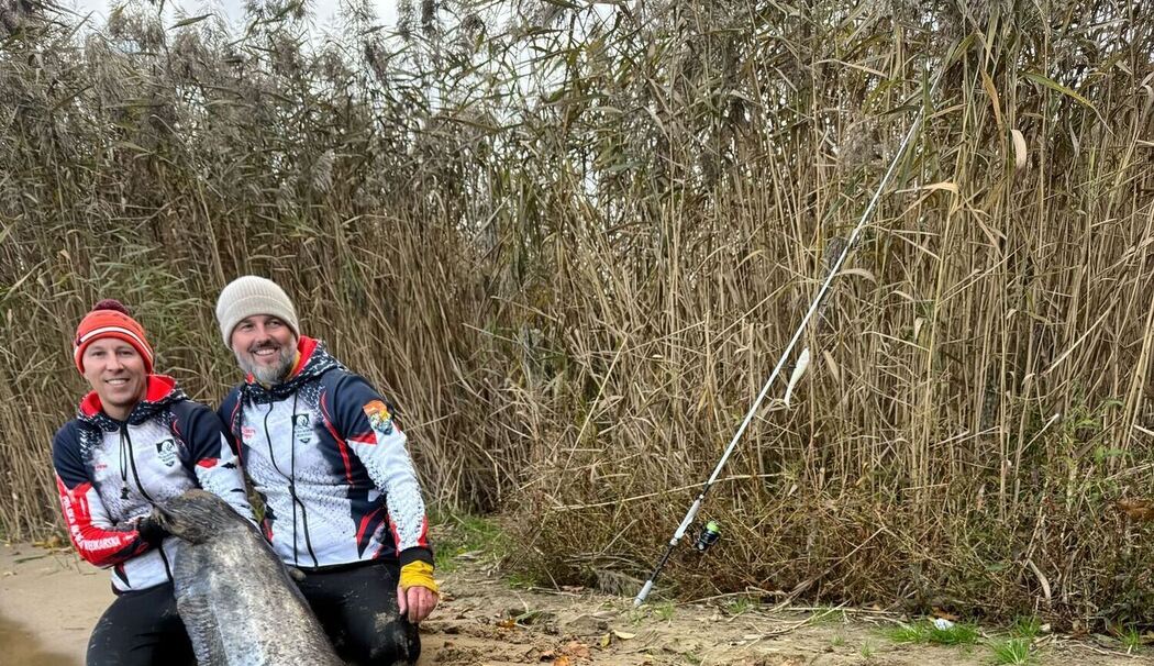 Riesiger Wels in Polen gefangen