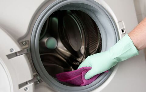 Eine Person reinigt die Gummidichtung einer Waschmaschine