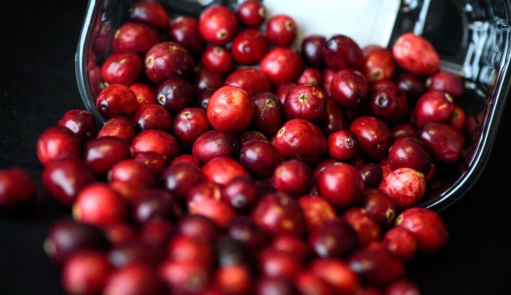 Cranberrys liegen in einer Schale Cranberrys liegen in einer Schale