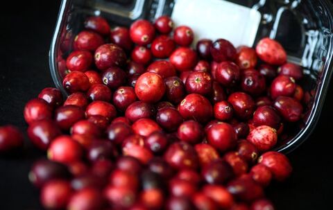 Cranberrys liegen in einer Schale