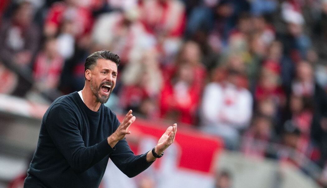Sandro Wagner