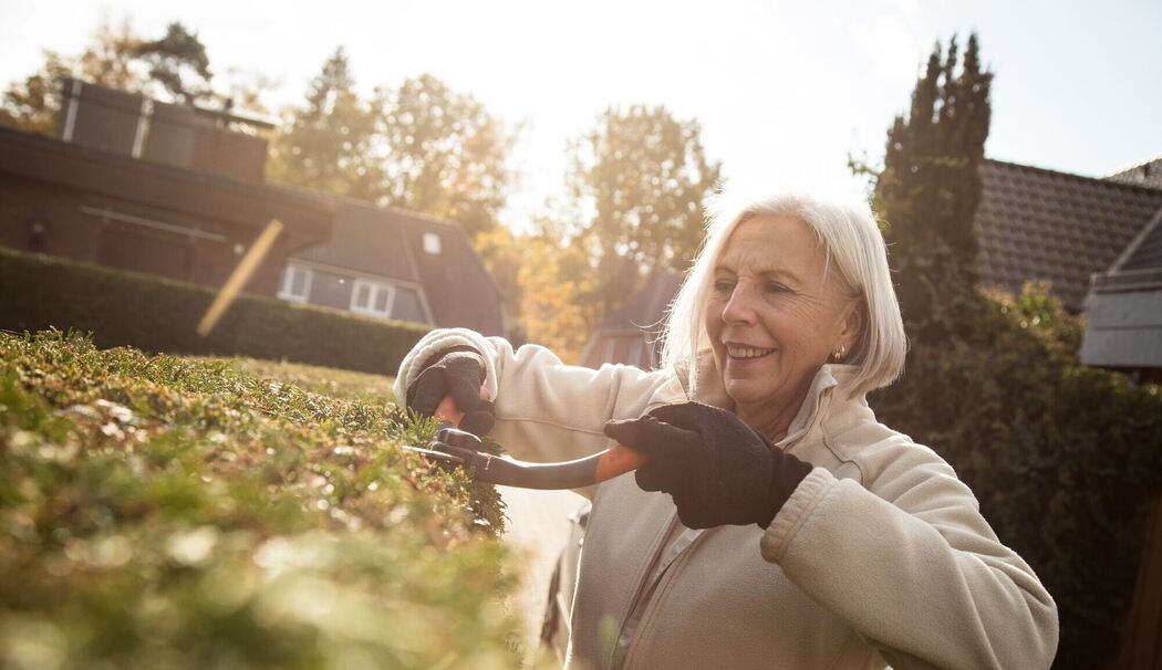 Eine ältere Dame schneidet eine Hecke Eine ältere Dame schneidet eine Hecke
