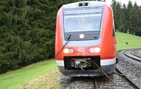 Zug entgleist im Allgäu nach Kollision mit Baum Zug entgleist im Allgäu nach Kollision mit Baum