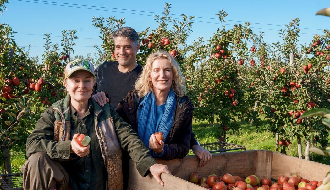 Neuer NDR-"Tatort" aus Niedersachsen mit Maria Furtwängler